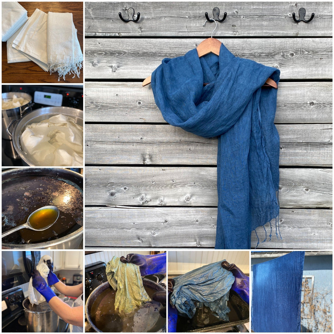 The Story of Nanny's Shawl